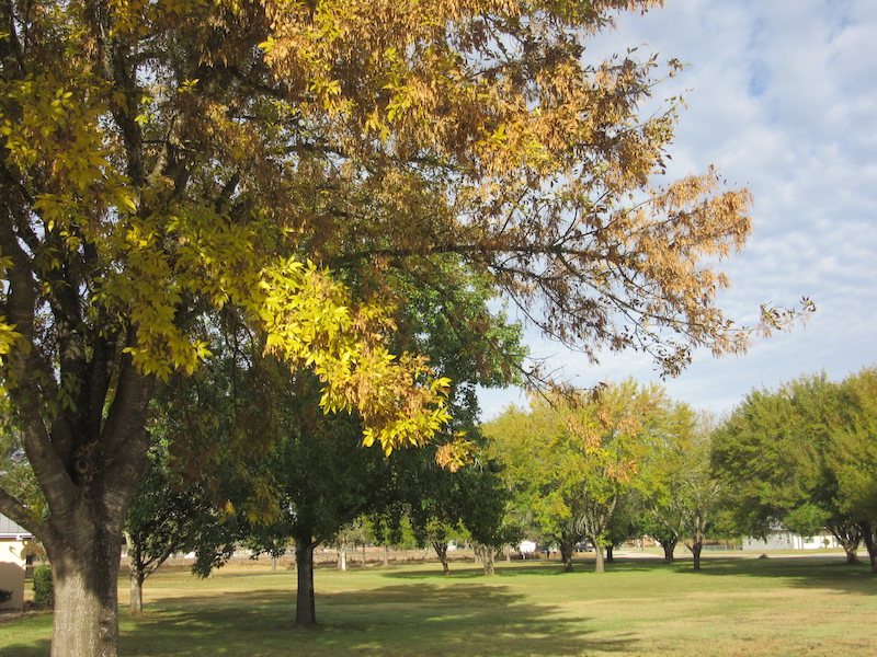 Picture of open space